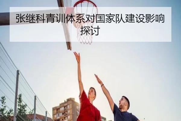 张继科青训体系对国家队建设影响探讨